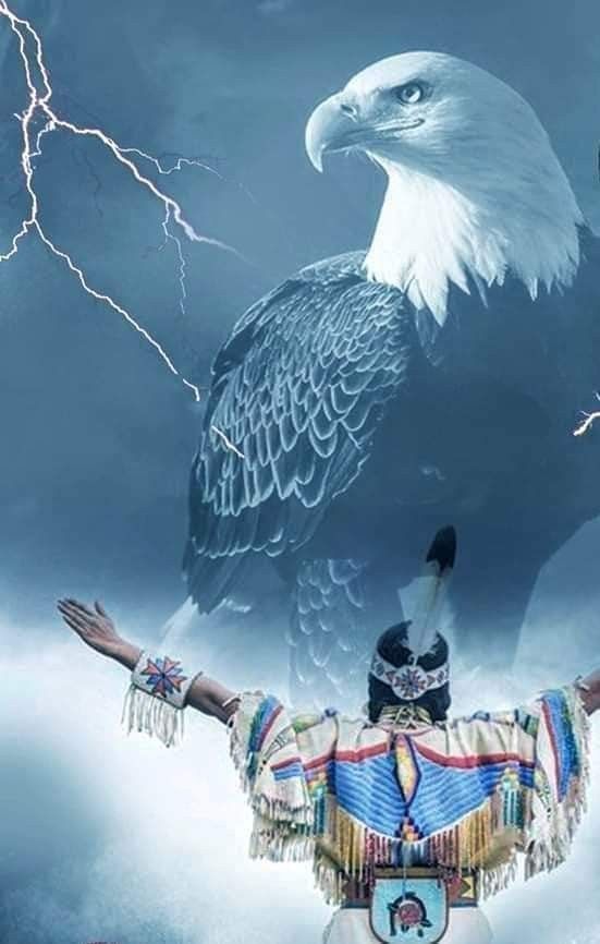 Eagle spirit medicine